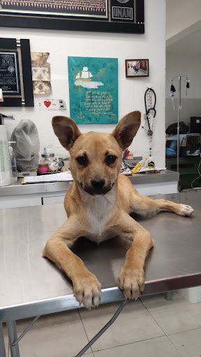 ANIMAL CARE CENTER