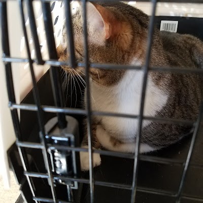Photos of VCA Mountain View Animal Hospital