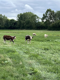 Photo n°27 de Boucherie Bossard à Le Mans (Boucherie)