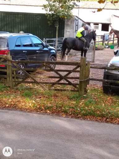 Great Bookham Equestrian Centre - Thumbnail