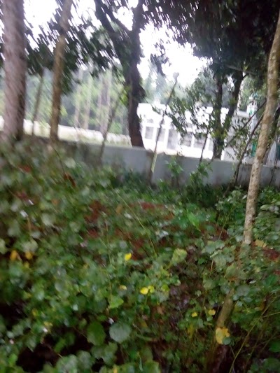 Photos of Baitul Akbar Jame Masjid, Jangalia