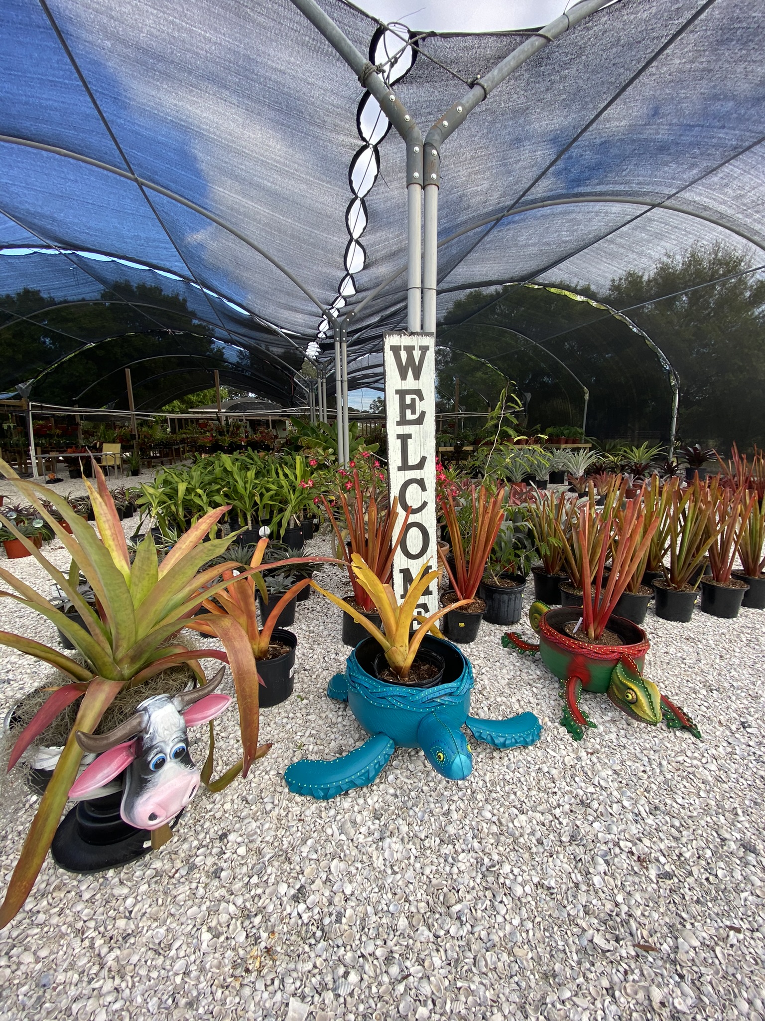 Maree Farms