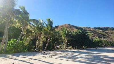Photos of TrueDream Fiji