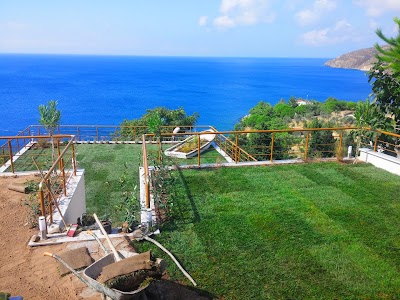 Photos of Paşalimanı