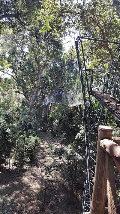 Photos of Ngare Dare Forest