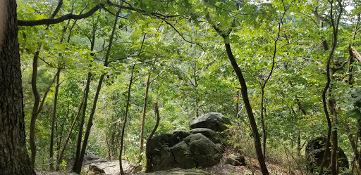 Grist Mill Trail - Thumbnail