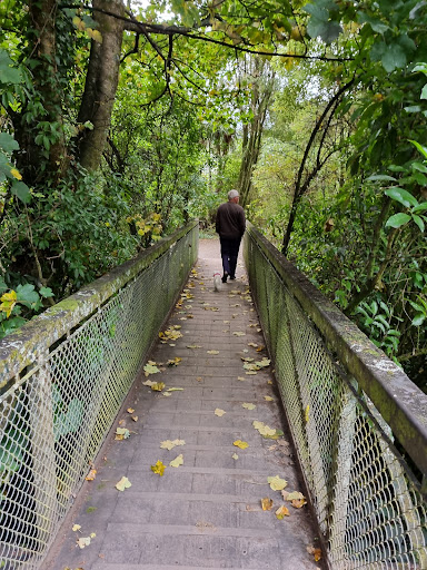 NZMCA Park Dunedin - Thumbnail