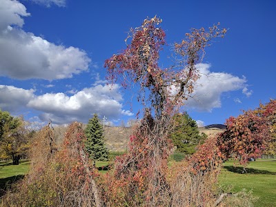 Tolman Memorial Park