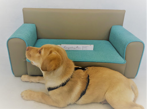 TIERSOFA.eu - Thumbnail