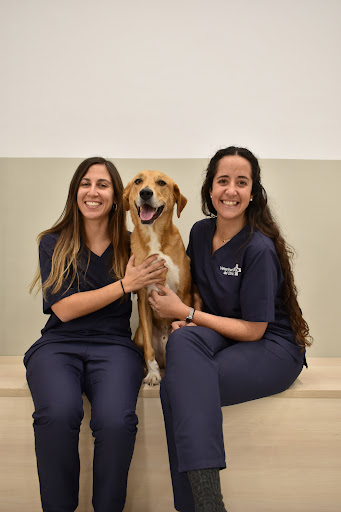 Veterinari del Clínico