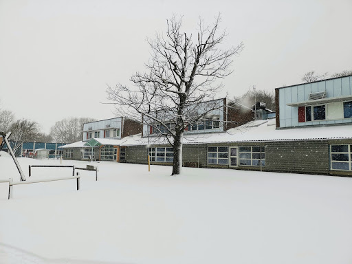 Sunnahallen - Visual