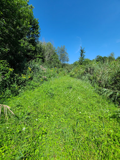 Brook Wildlife Area - Thumbnail