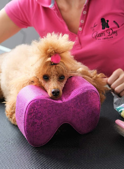 Glam Dog Tarnobrzeg Psi Salon