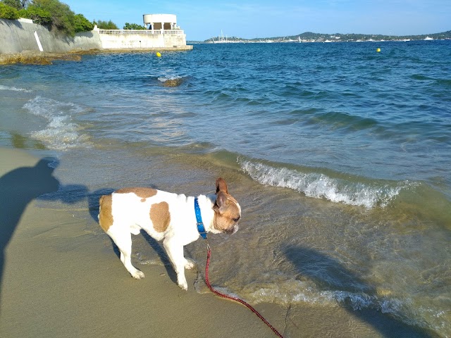 Plage Naturiste du Gros Pin