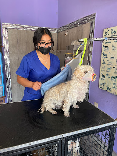 Veterinaria y Estética Canina San Esteban