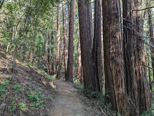 Wunderlich County Park