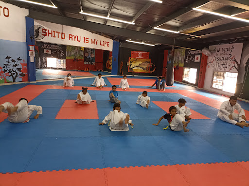 Karate Do Tradicional Shito-ryu