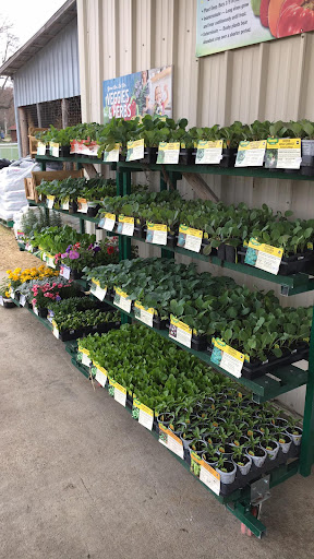 Lewis County Co-Op - Thumbnail