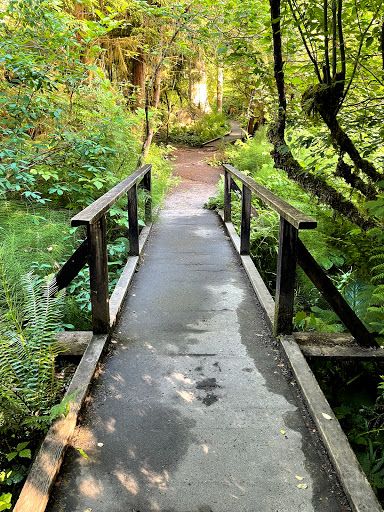 Watershed Park - Visual