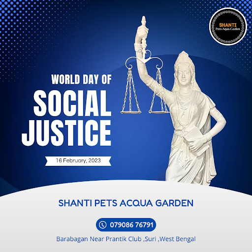 🐶 Celebrate World Day of Social Justice by spreading joy to your furry friends! At Shanti Pets Ac… post image