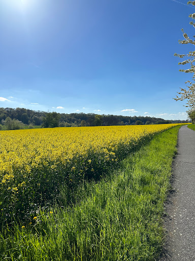 Elbwiesen zu Rottewitz- Winkwitz