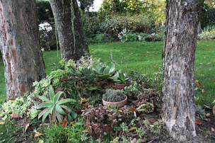 Photo n°10 de Chambres d'hôtes de la Fontaine à Beauchery-Saint-Martin (Chambre d'hôtes)