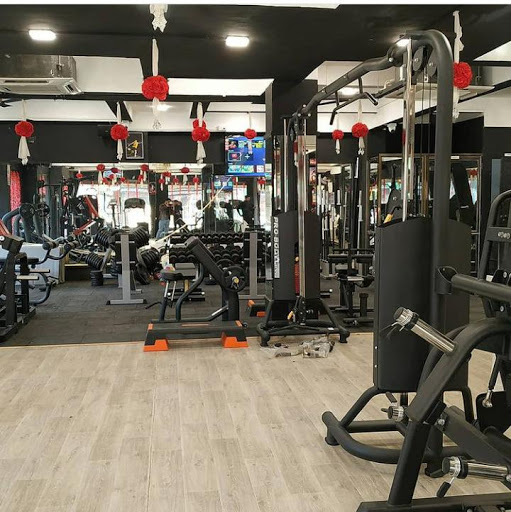 SSD Gym and Fitness Studio