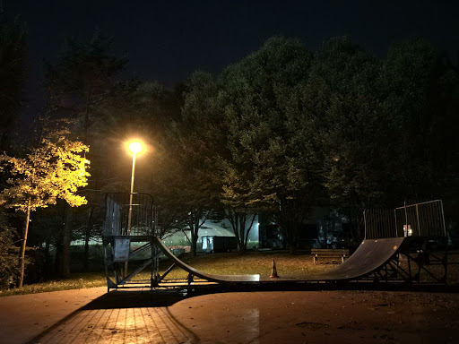 Pista Skateboard Arzignano - Thumbnail