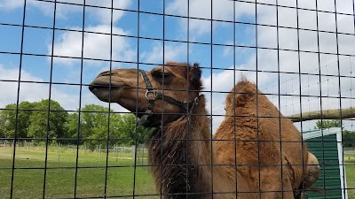 Trowbridge Creek Zoo