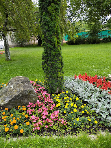 Ammersee - Visual