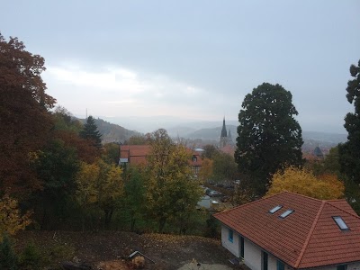 Photos of Hotel Erbprinzenpalais