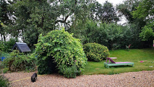 Photo n°9 de ÉLEVAGE DE LA VALLÉE DE PISSEVIN Bouledogues français à Herbault (Éleveur de chiens)