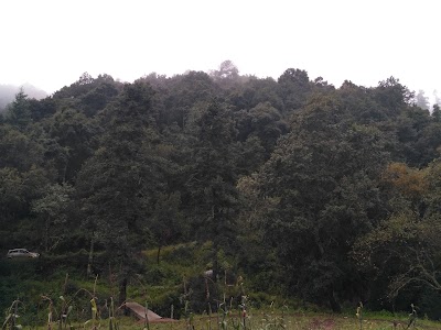 Photos of Santuario del Se&ntilde;or de la Buena Muerte