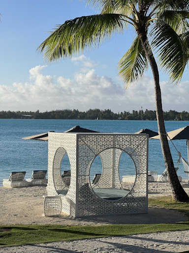 Beachfronts Travel, LLC - Thumbnail