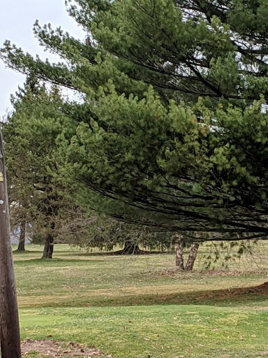 White Birch Golf Course & Restaurant - Thumbnail