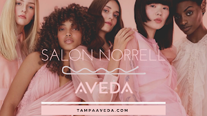Photo of AVEDA Salon Norrell Hyde Park Village