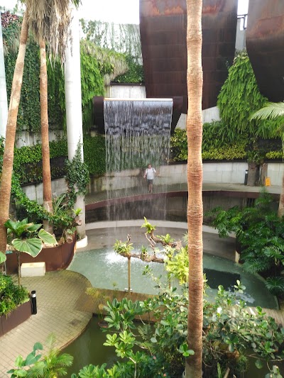 Photos of Estepona Orchidarium