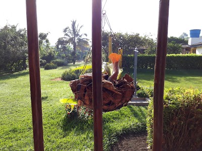 Photos of El Barranco