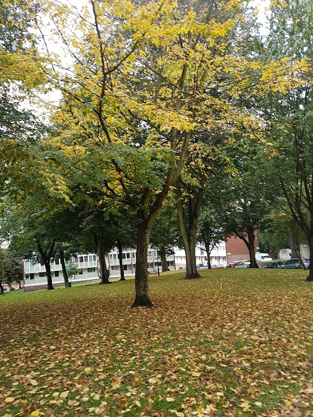 Roehampton