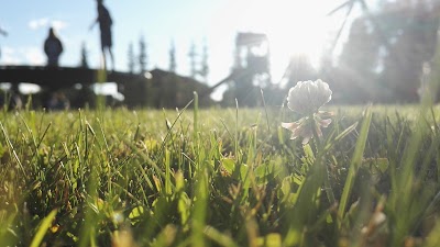 Photos of Adila Camp O&Uuml;