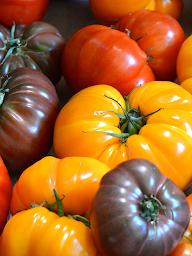 Photo n°34 de Cueillette de Servigny à Lieusaint (Agriculteur)