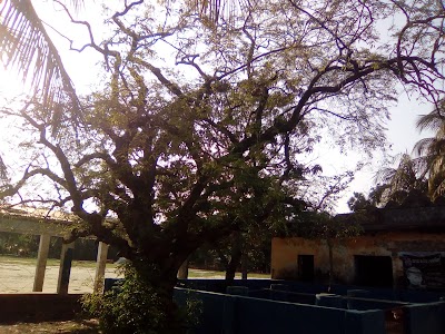 Photos of Gazalia Bazar