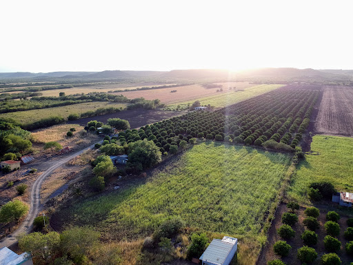 Rancho JF