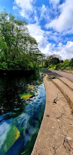 Rossmere Park - Visual