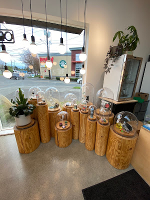 Photo of Dockside Cannabis - Ballard | Pot | Weed | Marijuana | Dispensary