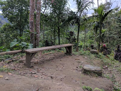Photos of Air Terjun Nungnung
