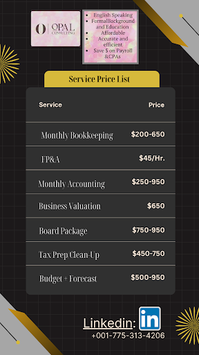 Opal Consulting - Visual