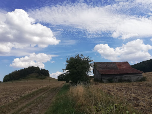 Rohrköppel - Visual