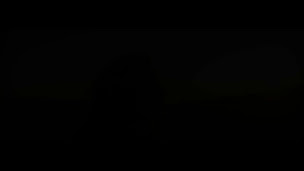 Photo n°16 de Dafy Cesbron à Les Ponts-de-Cé (Magasin de motos)