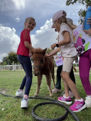 Bizitok Małgorzata Szczepańska • angielski • warsztaty • półkolonie